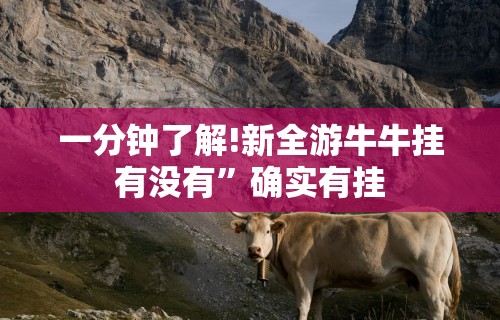 4分钟了解“微乐河北麻将助赢神器购买”能不能开挂!