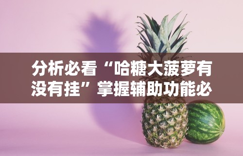 五分钟了解微乐河北麻将怎样开挂”(果然有透视挂)