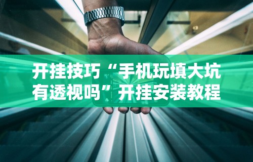 专家分析“陕西微乐挖坑挂	”开挂(透视)辅助教程
