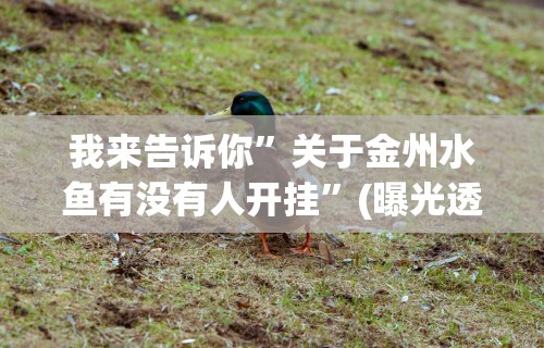 五分钟了解微乐陕西三代如何拿好牌”可以开挂作弊