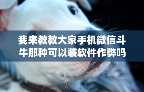 3分钟教程“微乐麻将万能开挂器是真的吗	”开挂科技辅助神器手机