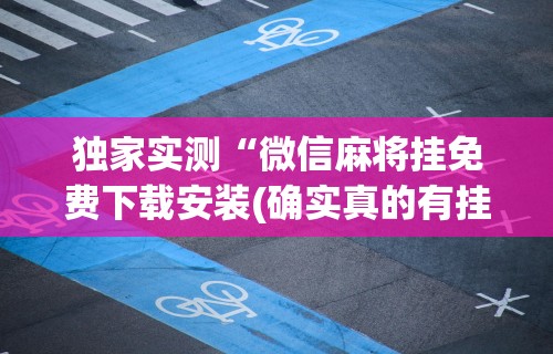 开挂辅助工具“椰岛常胜游戏麻将有没有挂”开挂科技辅助神器手机
