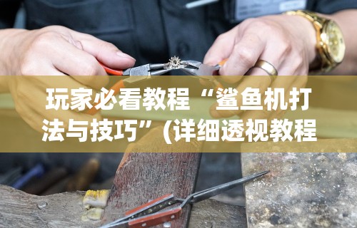 实测脚本“美猴王牛牛挂先试用再付款”详细分享装挂步骤