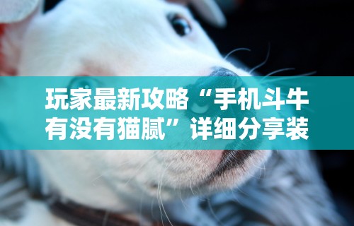 【盘点十款】“微信大厅斗牛开挂安装软件”掌握辅助功能必胜规则