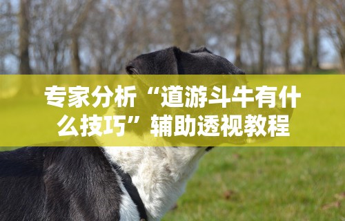 [教程经验]“心悦填大坑有挂吗[分享装挂详细步骤]