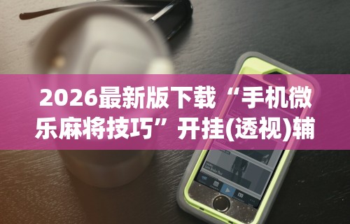 一分钟讲解“十三开挂作弊辅助”(太坑了果然有挂)