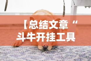 【总结文章“斗牛开挂工具哪个好用”最新辅助详细教程
