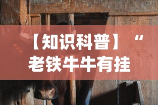 【知识科普】“老铁牛牛有挂吗	”开挂(透视)辅助教程