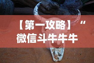 【第一攻略】“微信斗牛牛牛群有挂吗”(详细透视教程)-知乎