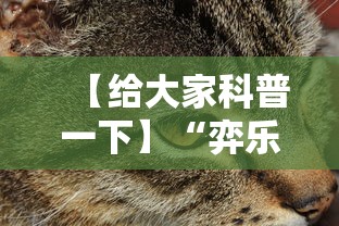 【给大家科普一下】“弈乐麻将外卦神器下载安装	”详细外挂安装步骤