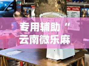 专用辅助“云南微乐麻将开挂神器下载”开挂辅助教程
