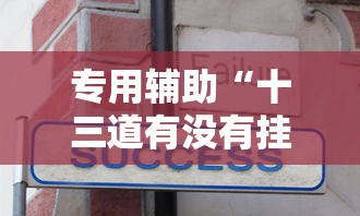 专用辅助“十三道有没有挂车的”详细辅助教程分享