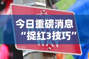 今日重磅消息“捉红3技巧	”通用版下载教程