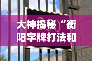 大神揭秘“衡阳字牌打法和技巧(详细真的有挂)-知乎
