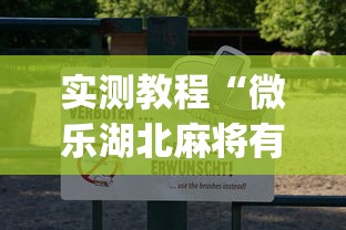实测教程“微乐湖北麻将有挂吗	”(透视挂)辅助透视教程