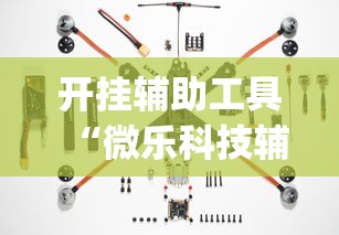 开挂辅助工具“微乐科技辅助器(免费)”附透视挂详细教程