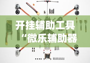 开挂辅助工具“微乐辅助器下载”(透视)其实确实有挂