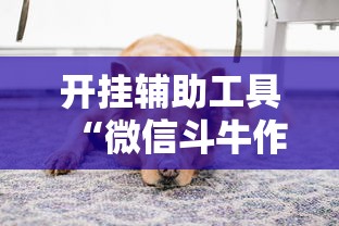 开挂辅助工具“微信斗牛作弊软件	”开挂安装教程